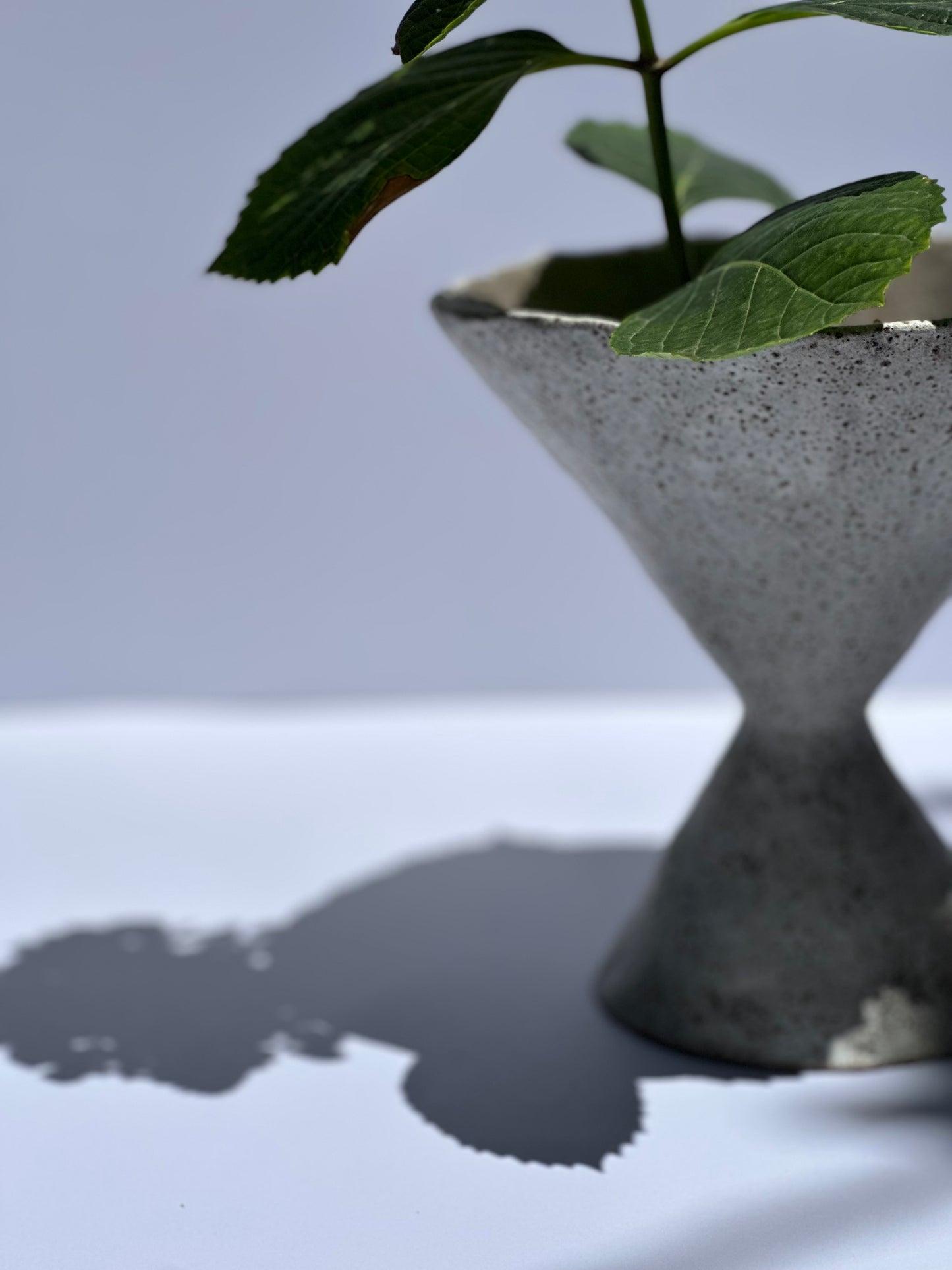 Hourglass Single Bloom Vase