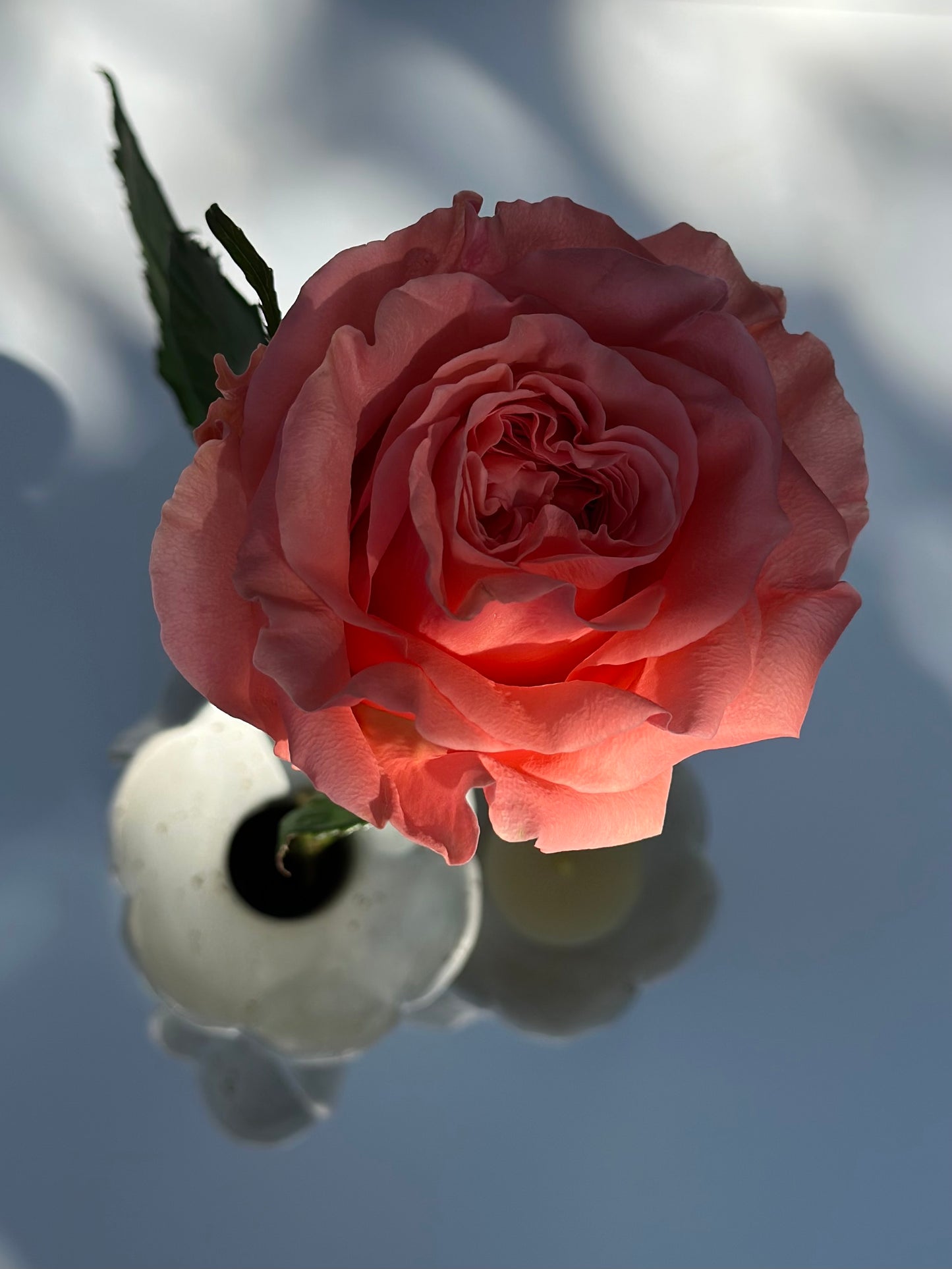 Flowers and Flame Vase, Large