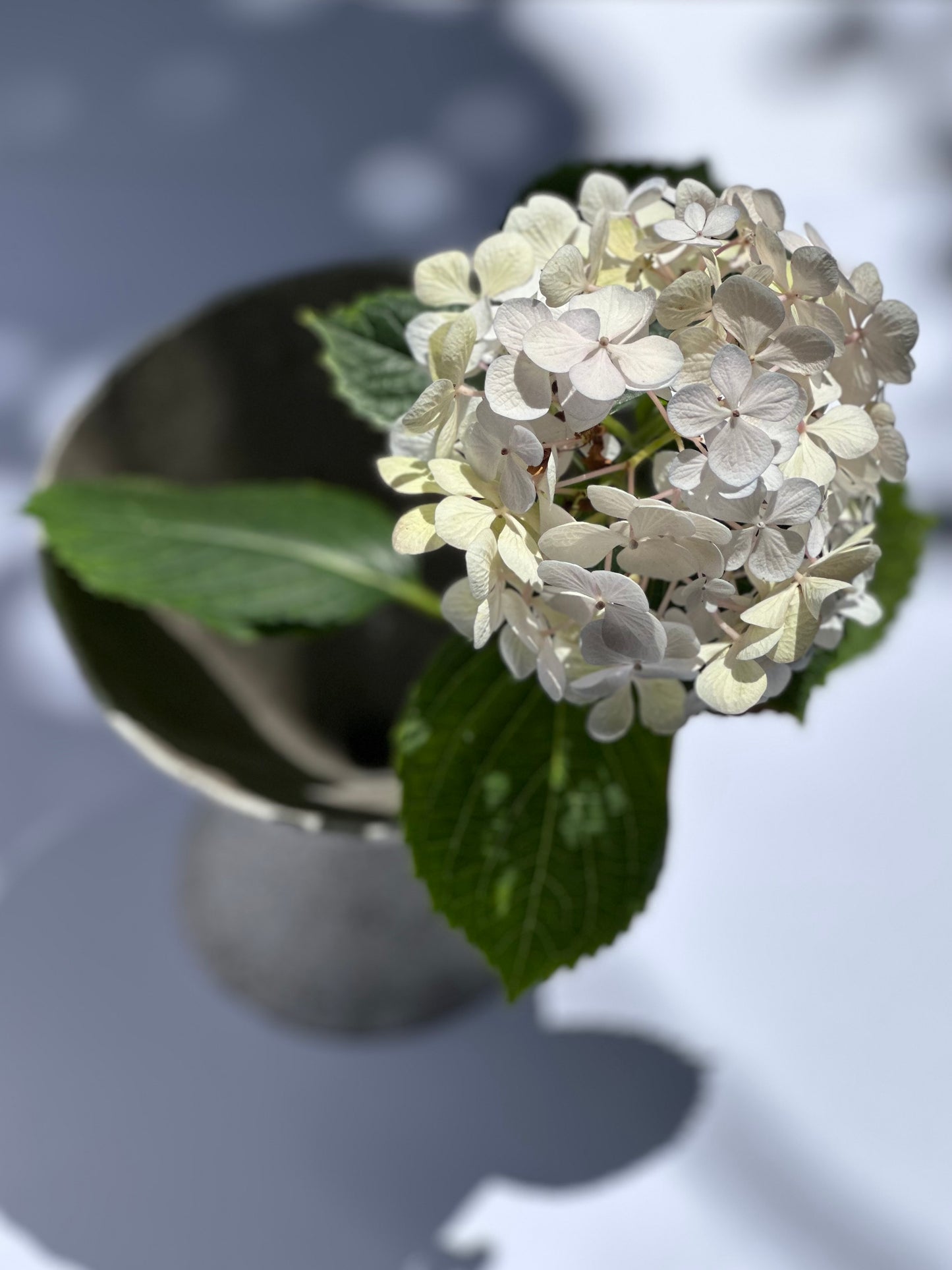 Hourglass Single Bloom Vase