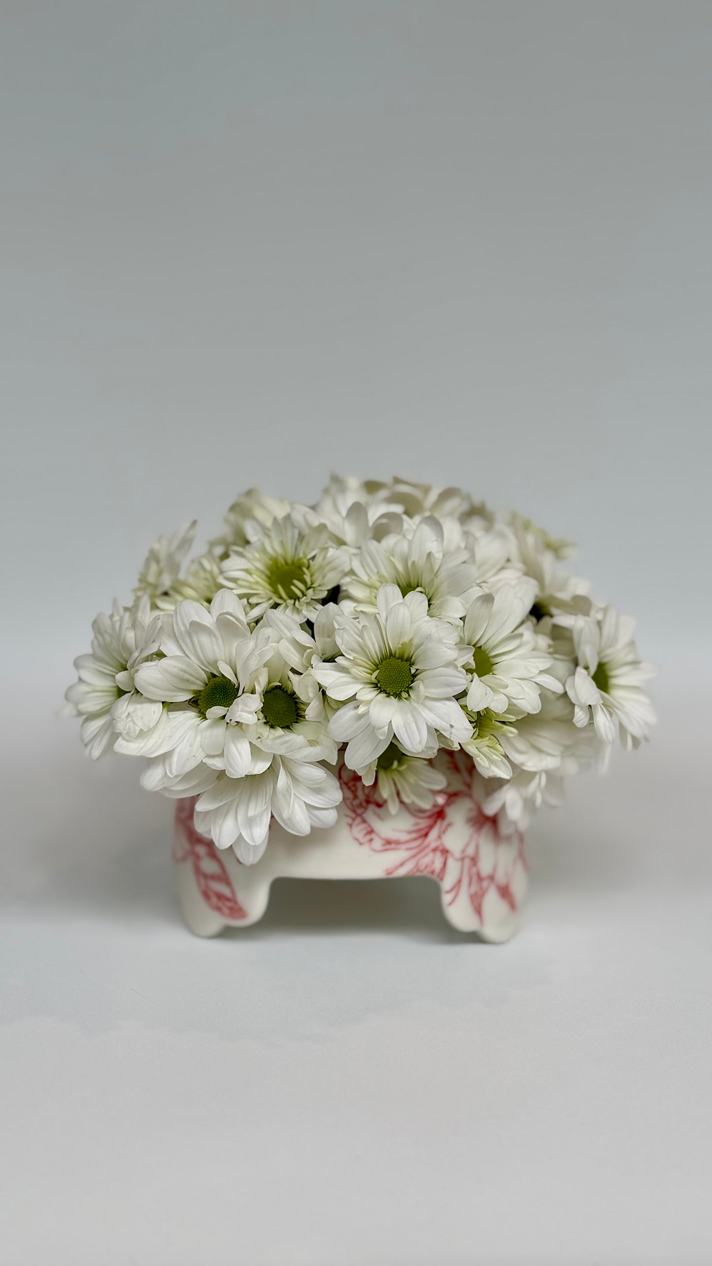 Red Rose Flower Frog