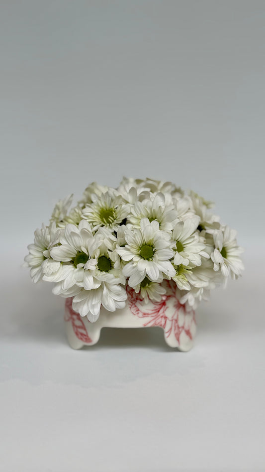 Red Rose Flower Frog