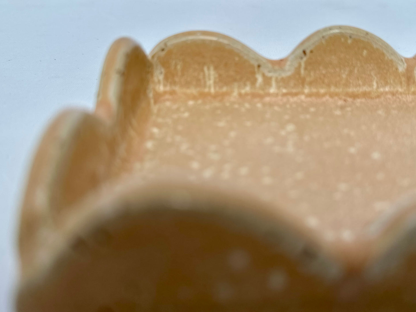 Apricot Scalloped Tray