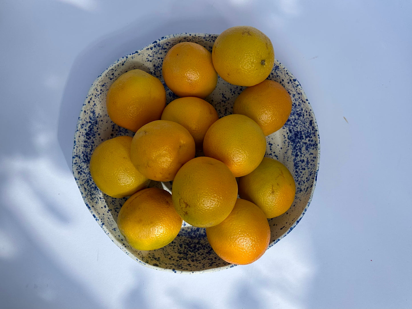 Serving Dish, Extra Large