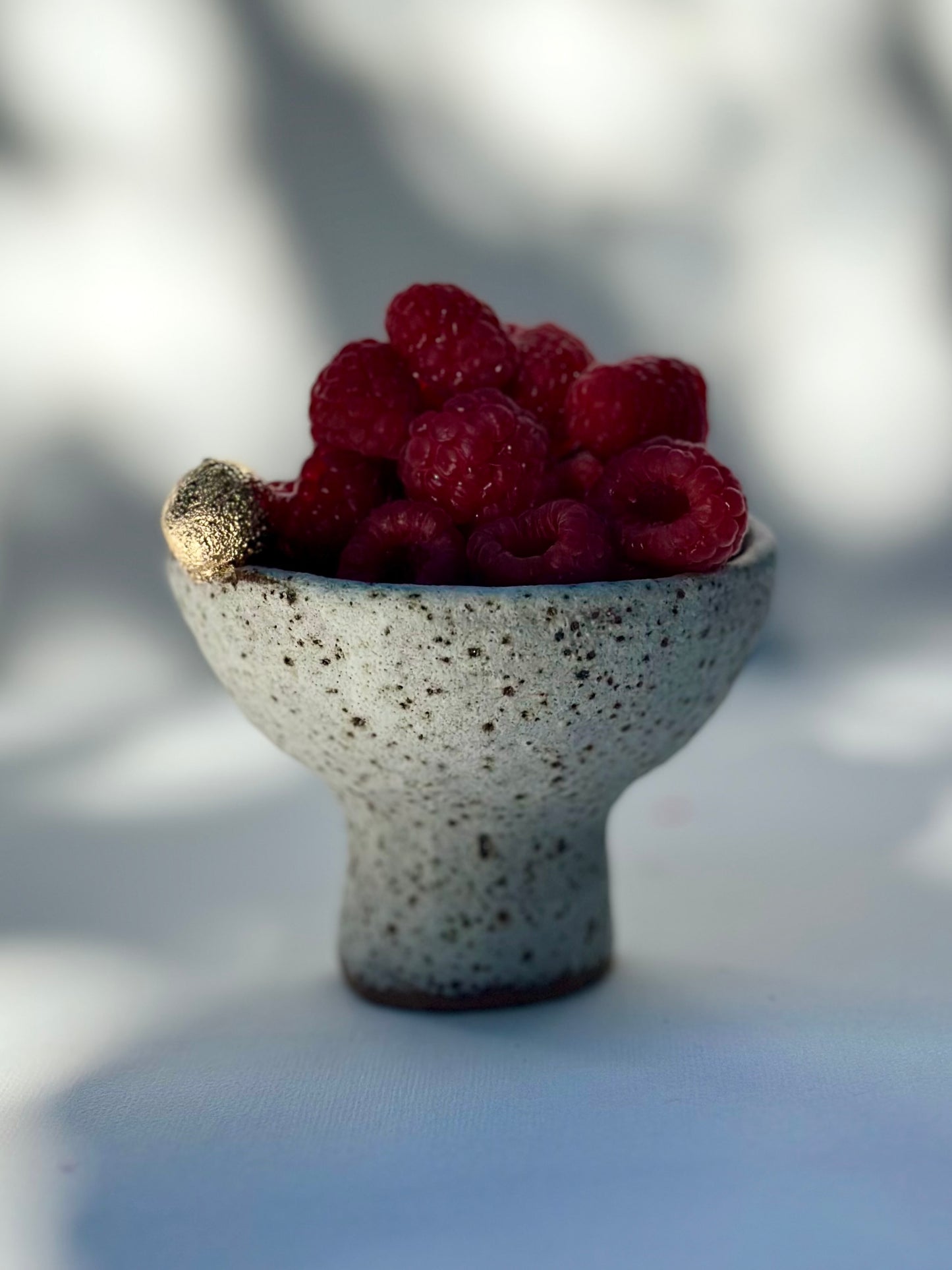 White Speckled Footed Bowl