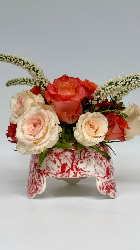 Brer Rabbit Red Flower Frog