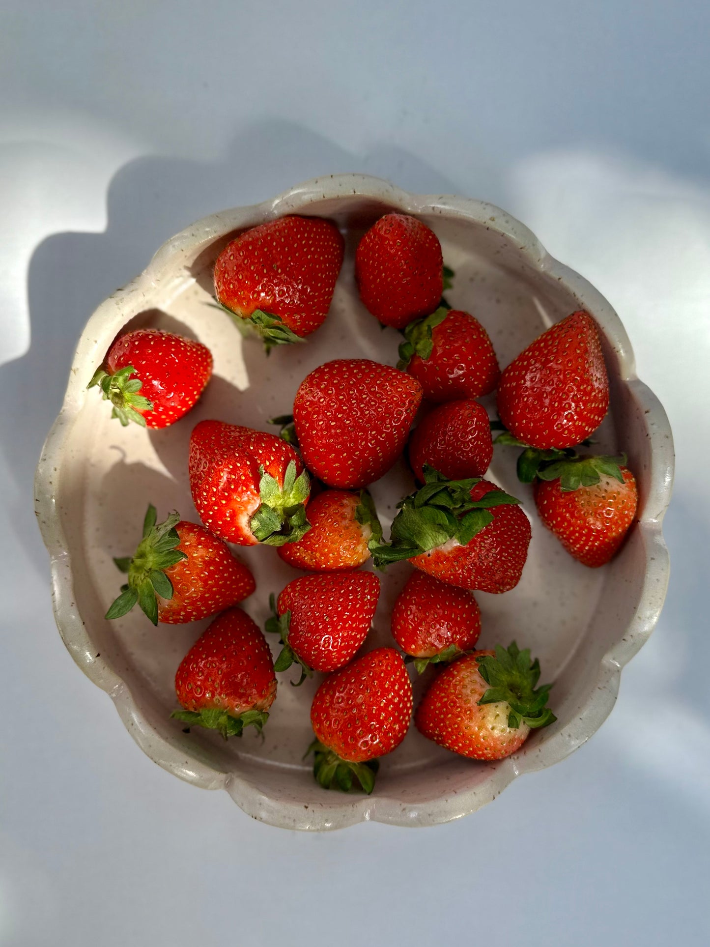 Light Pink Scallop Edge Tray
